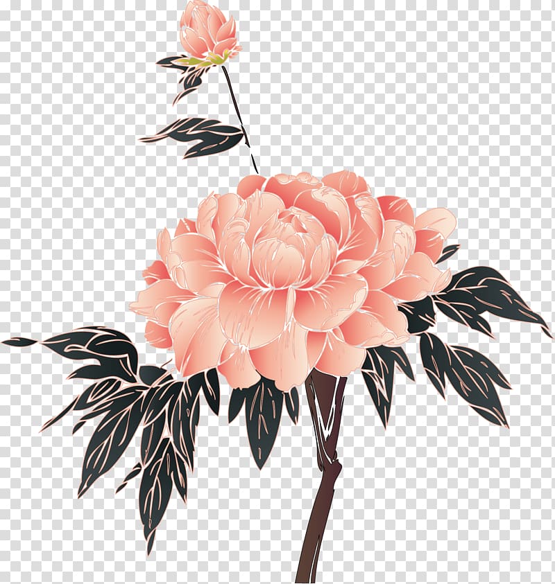 Moutan peony Wall decal, Floral decoration transparent background PNG clipart