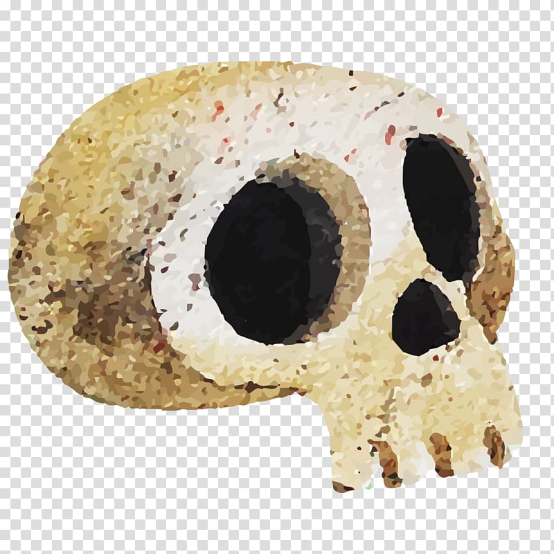 u9ab7u9ac5, Skull transparent background PNG clipart