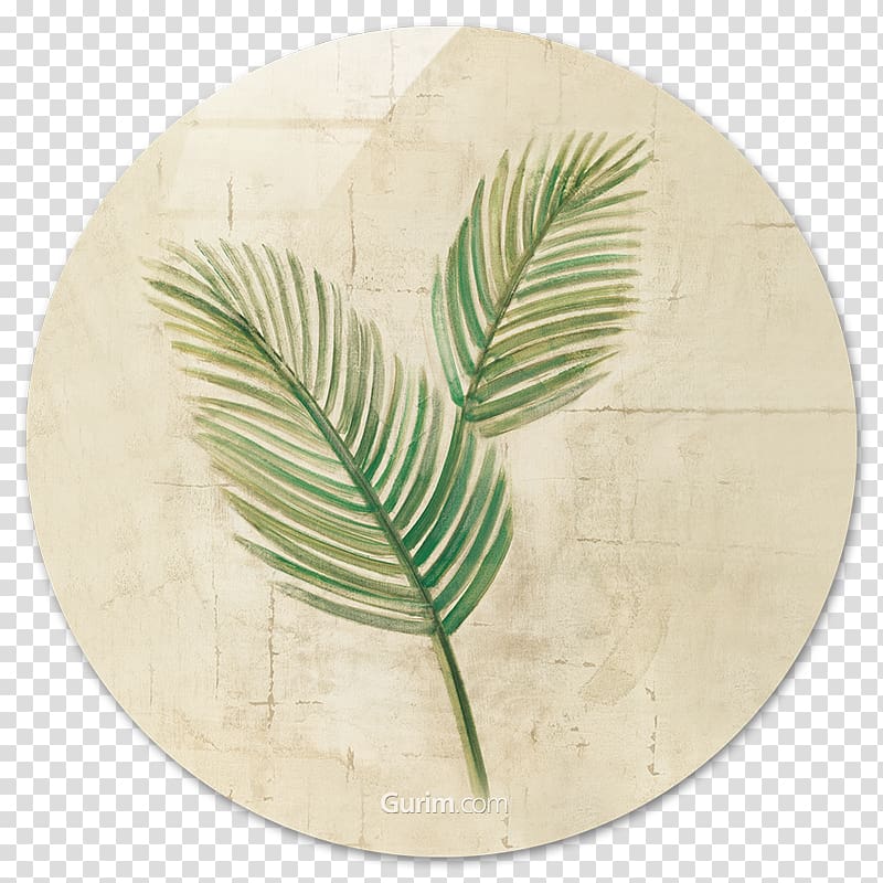 Sago palm Paper Palm-leaf manuscript Crop, monstera transparent background PNG clipart