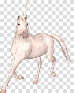 Unicorn Horse , unicorn transparent background PNG clipart thumbnail