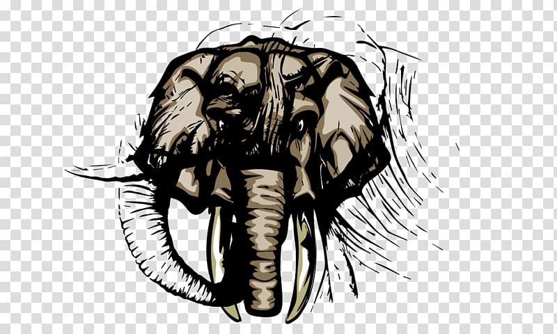 Ivory Poster Elephant Advertising, Elephant transparent background PNG clipart