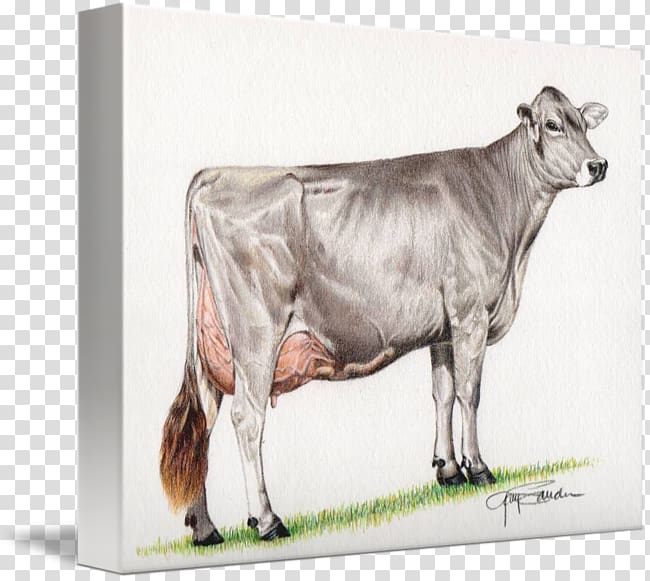 Dairy cattle Brown Swiss cattle Simmental cattle Fleckvieh Zebu, cow painting transparent background PNG clipart