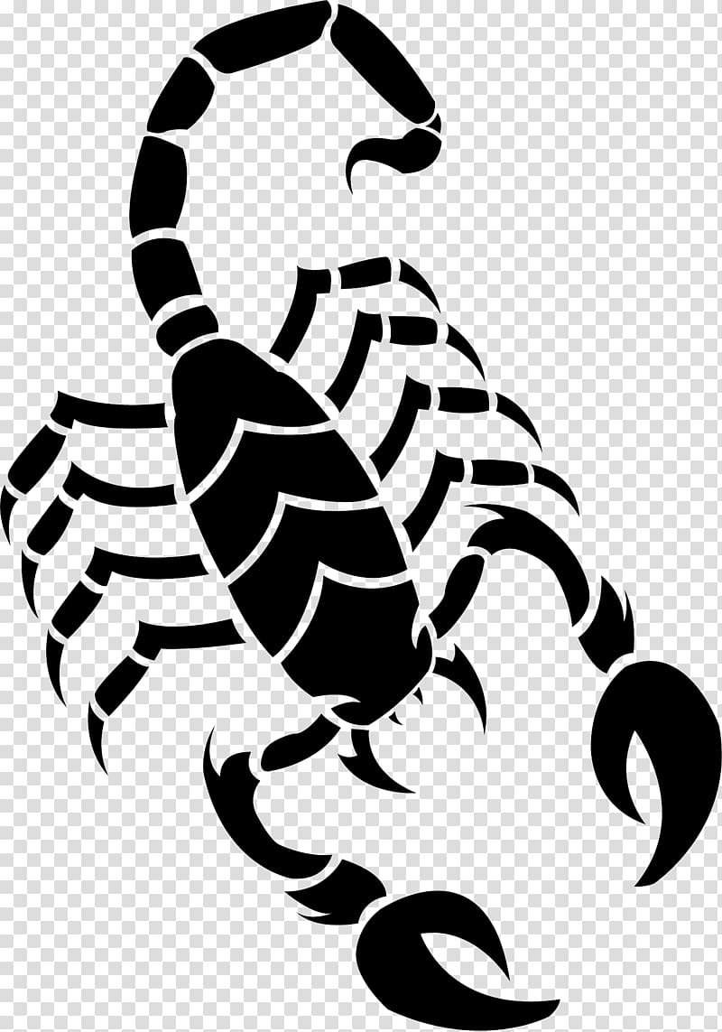 Scorpion Drawing , poketmon transparent background PNG clipart