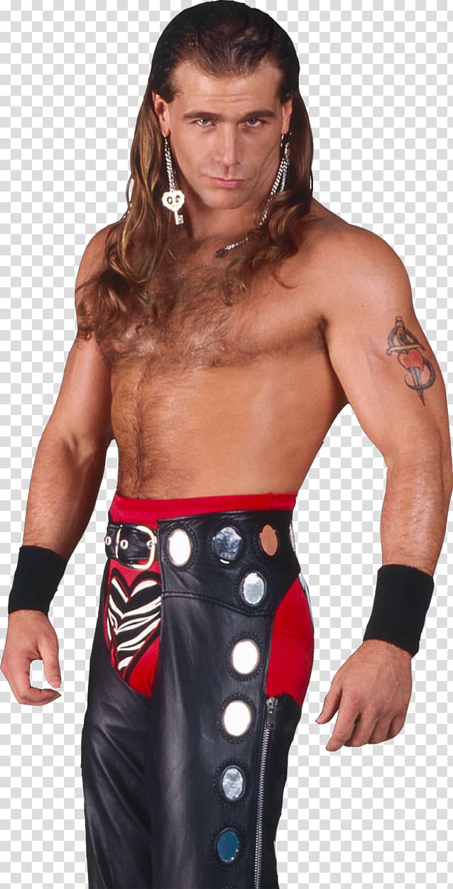Shawn Michaels Rendering Heel WWE, shawn michaels transparent background PNG clipart