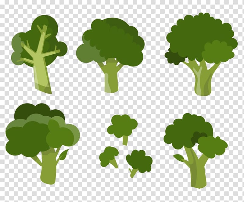 Broccoli Vegetable , broccoli transparent background PNG clipart