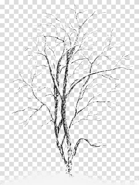 bare tree covered with snow, Silver birch Tree , Snow-covered trees transparent background PNG clipart