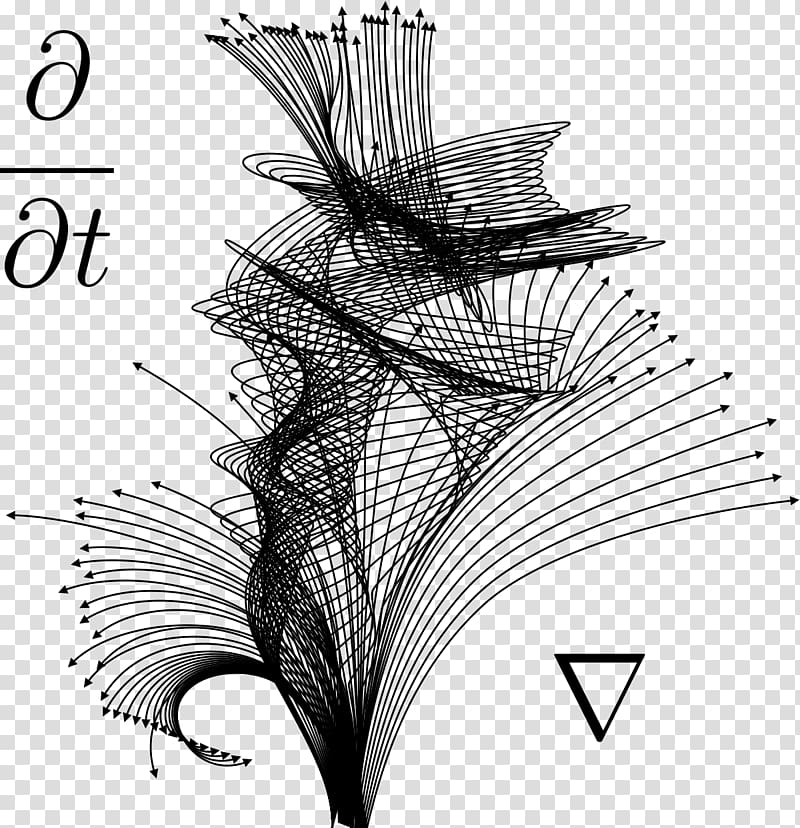 Partial differential equation Ordinary differential equation Derivative, Mathematics transparent background PNG clipart