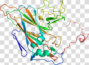 Line Point Tree , line transparent background PNG clipart thumbnail