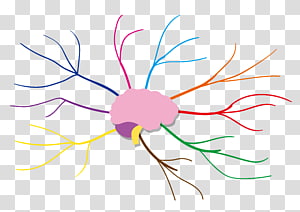Brain with neurons , Mind map , Cartoon brain thinking divergent color ...