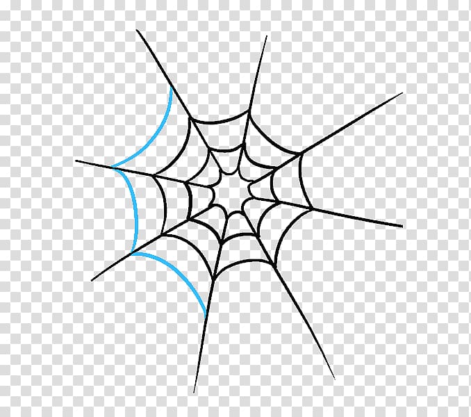 Spider web Drawing Art Sketch, spider transparent background PNG clipart