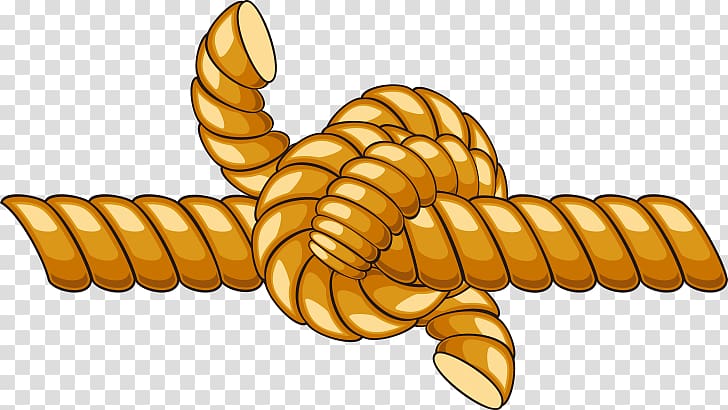 Brown tied knot illustration, Rope Knot Cartoon, rope,rope transparent  background PNG clipart