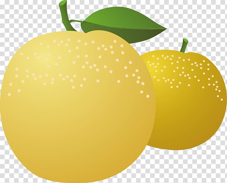 Lemon Asian pear, Apple pear material transparent background PNG clipart