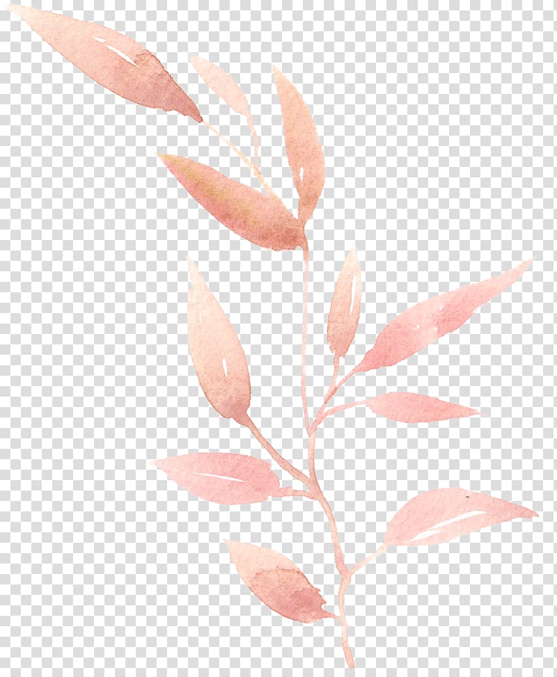 Watercolor painting Leaf, Hand-painted watercolor leaves, pink leaf illustration transparent background PNG clipart