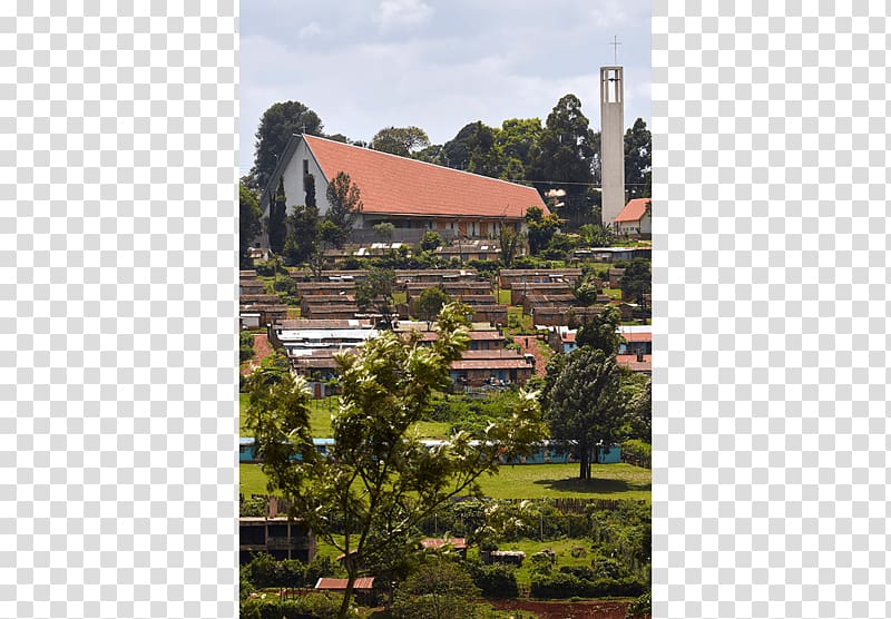 Roman Catholic Diocese of Kericho Tea Cathedral Great Rift Valley, tea transparent background PNG clipart