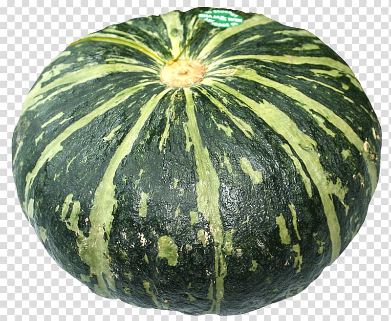 green squash, Watermelon Figleaf Gourd Calabaza Pumpkin, Sweet Pumpkin transparent background PNG clipart