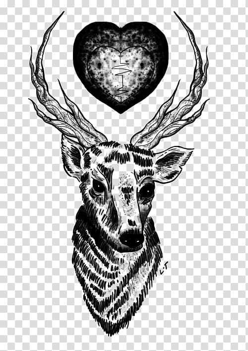 Deer Tattoo One Direction Drawing Musician, deer transparent background PNG clipart
