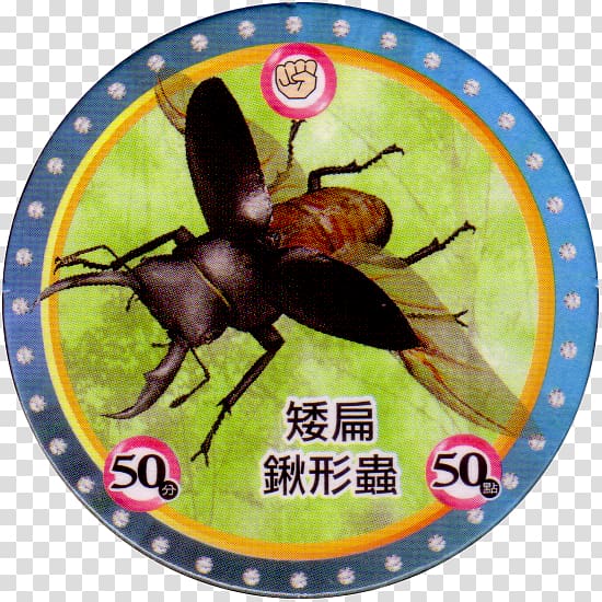 Mushiking: The King of Beetles Stag beetle Milk caps Dorcus titanus, beetle transparent background PNG clipart