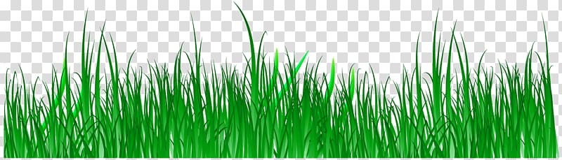 Wheatgrass Green Commodity Computer , spring green meadow creative panels transparent background PNG clipart