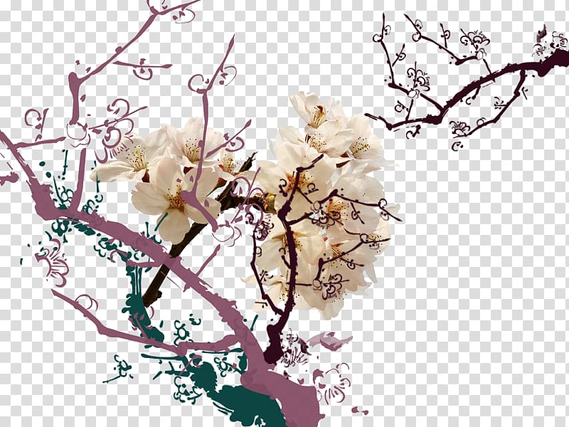 Apricot Petal, White apricot open branches transparent background PNG clipart