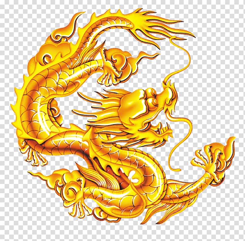 dragon illustration, Chinese dragon Diri, Chinese dragon,Golden dragon transparent background PNG clipart