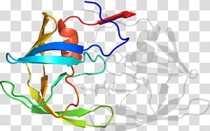 Line Organism Point , line transparent background PNG clipart thumbnail