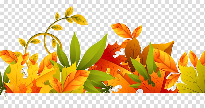 for Fall Borders and Frames Autumn leaf color, autumn transparent background PNG clipart