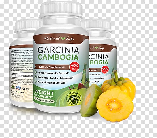 Dietary supplement Garcinia cambogia Weight loss Anti-obesity medication, Garcinia cambogia transparent background PNG clipart