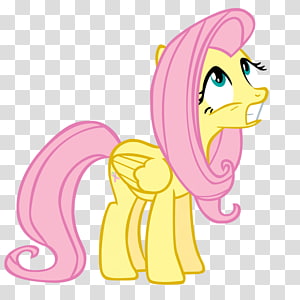 Pony Cat Horse , Cat transparent background PNG clipart thumbnail