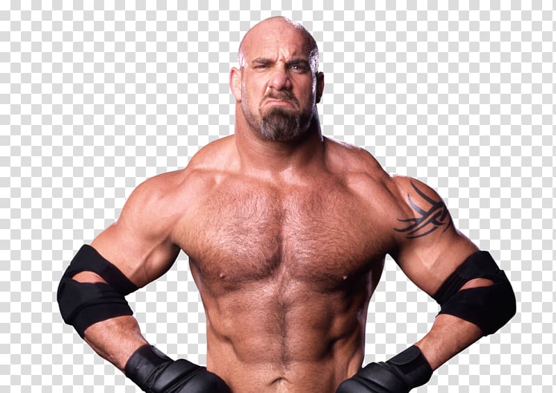 Bill Goldberg WWE Universal Championship WWE Superstars WWE Championship Survivor Series (2016), bill goldberg transparent background PNG clipart