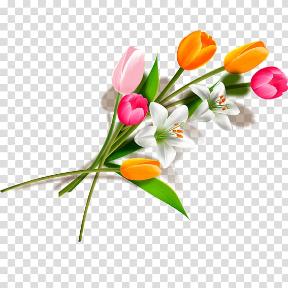 assorted-color tulip , Tulip Flower bouquet, Bouquet of Tulips transparent background PNG clipart