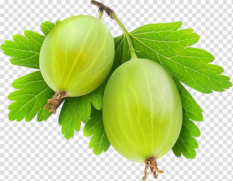 Gooseberry Food , Cape Gooseberry transparent background PNG clipart