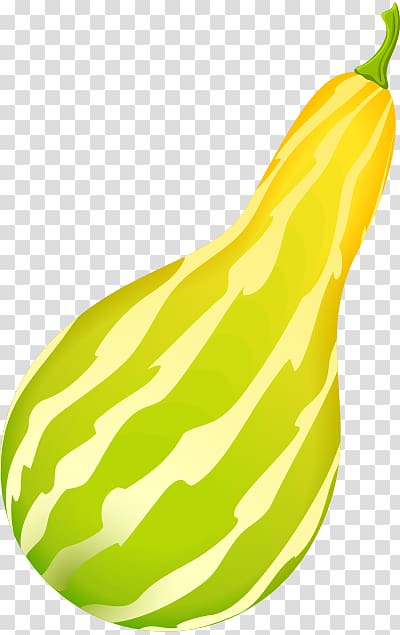 Gourd Winter squash Pear Melon, illustrated flyer transparent background PNG clipart