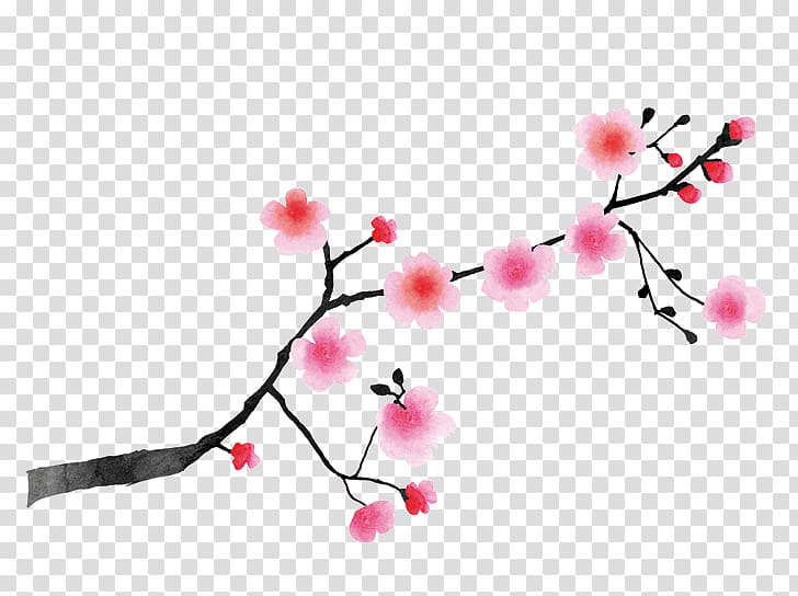 Cerasus East Asian Cherry Cherry blossom Japan White, cherry blossom transparent background PNG clipart