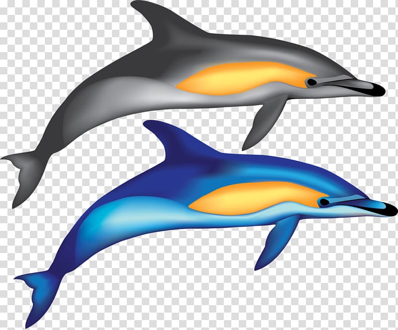 Common bottlenose dolphin Short-beaked common dolphin Wholphin Tucuxi Rough-toothed dolphin, hollywood transparent background PNG clipart