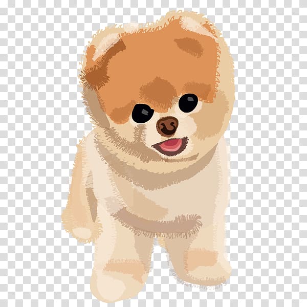 tan Pomeranian puppy illustration, Pomeranian Puppy Boo, Boo Dog transparent background PNG clipart