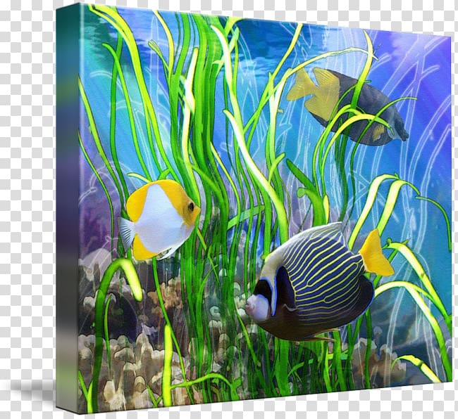 Coral reef fish Ecosystem Aquarium Marine biology, fish transparent background PNG clipart