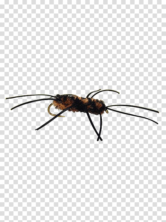 Ant California Fly fishing Pennsylvania Stoneflies, Fly Tying transparent background PNG clipart