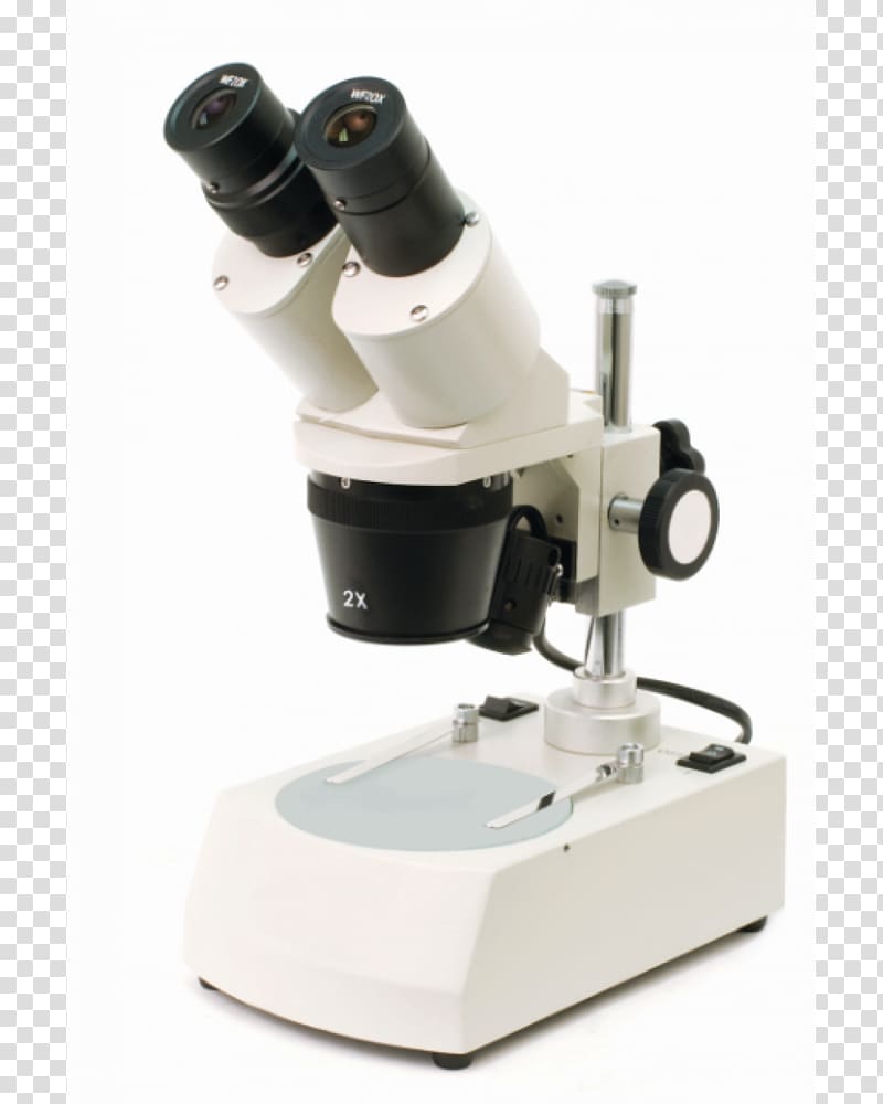 Stereo microscope Optical microscope Magnification Monocular, Dual Stereo transparent background PNG clipart