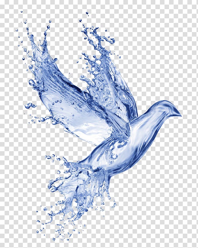 free water effects dove pull transparent background PNG clipart