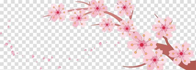 pink cherry blossom flowers illustration, Cherry blossom Banner Template, Cherry branch transparent background PNG clipart