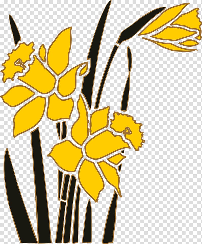 Narcissus Flower , daffodil transparent background PNG clipart