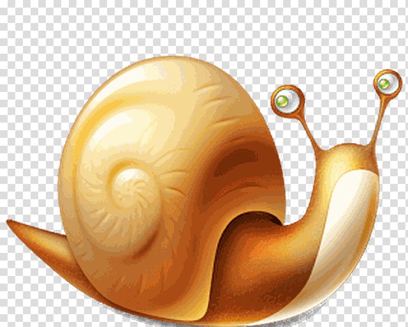 Slow Snail Computer Icons, Snail transparent background PNG clipart