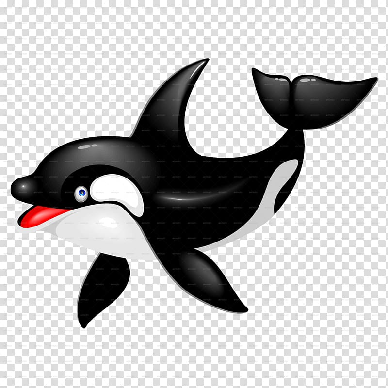 Killer whale Dolphin Drawing Cetacea, whale transparent background PNG clipart