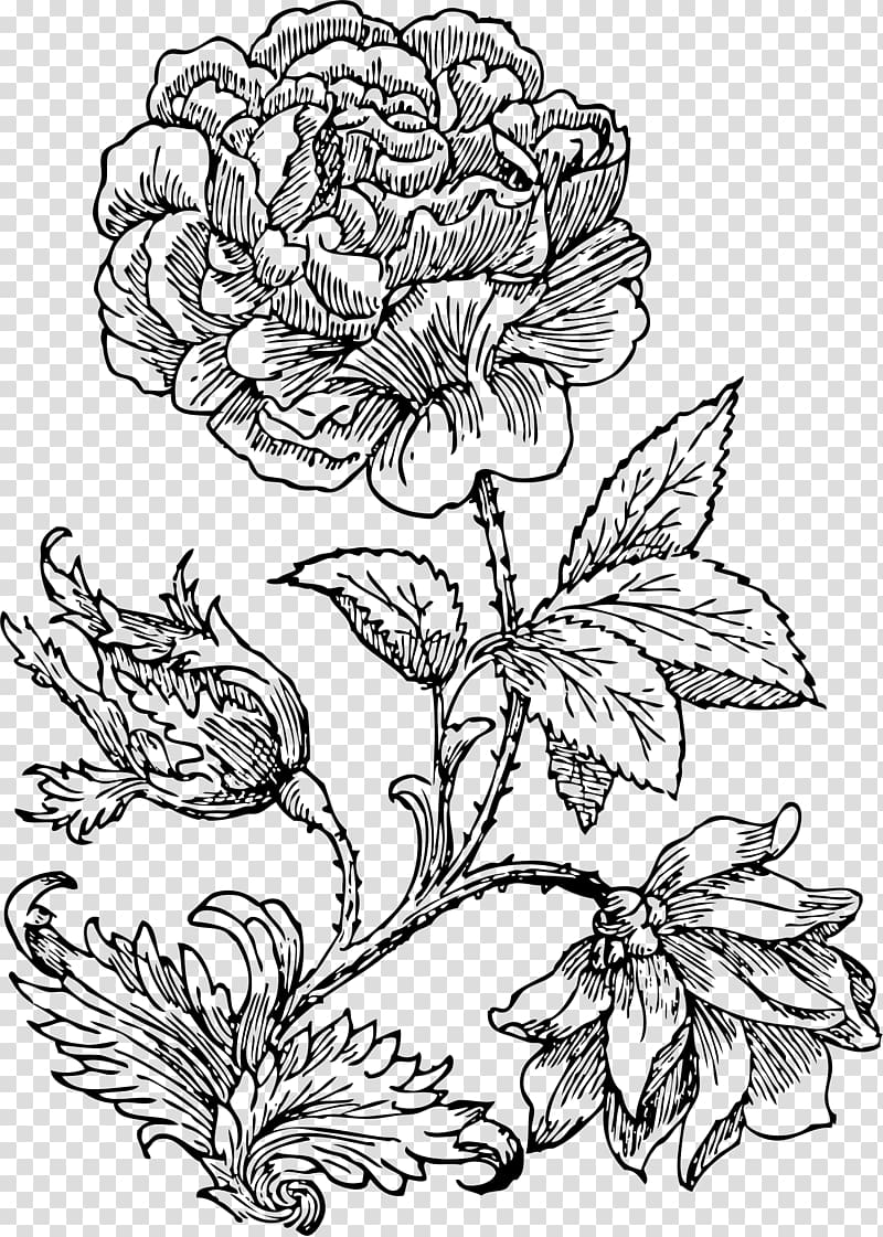 Floral design Drawing Paper , rose transparent background PNG clipart