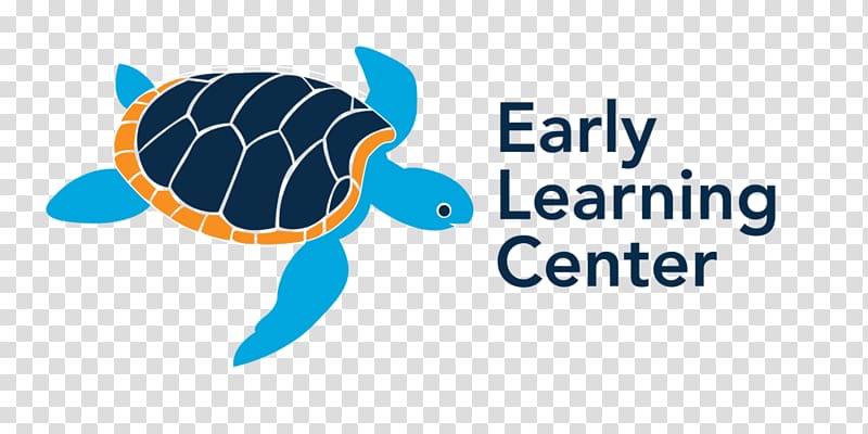 Logo Top Shelf: Essential Learning for the Internal Medicine Clerkship Brand Sea turtle, turtle transparent background PNG clipart