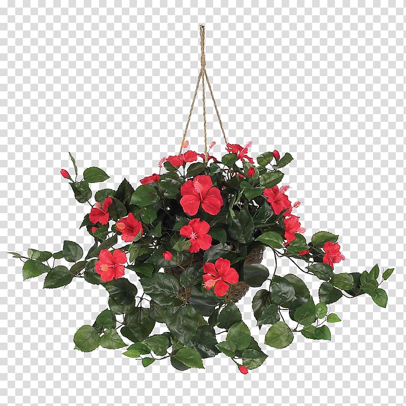 Hanging basket Plant Artificial flower, vegetacion transparent background PNG clipart
