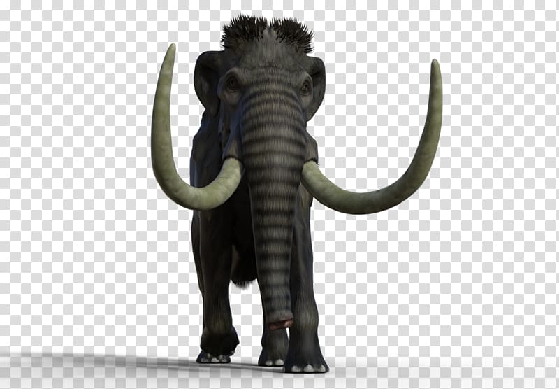 Indian elephant African elephant Mammoth Lakes Tusk, Woolly Mammoth transparent background PNG clipart