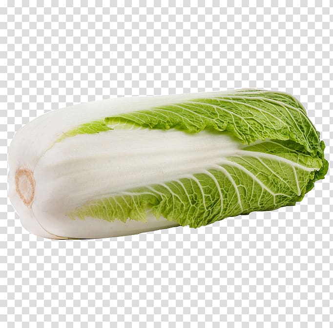Napa cabbage Vegetable Cabbage roll Chinese cabbage, Green cabbage transparent background PNG clipart