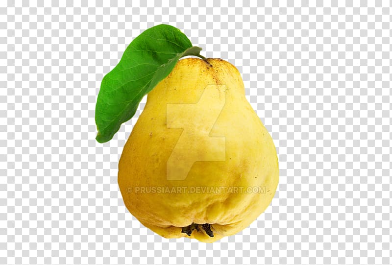 Ripe banana on a transparent background. by PRUSSIAART on DeviantArt