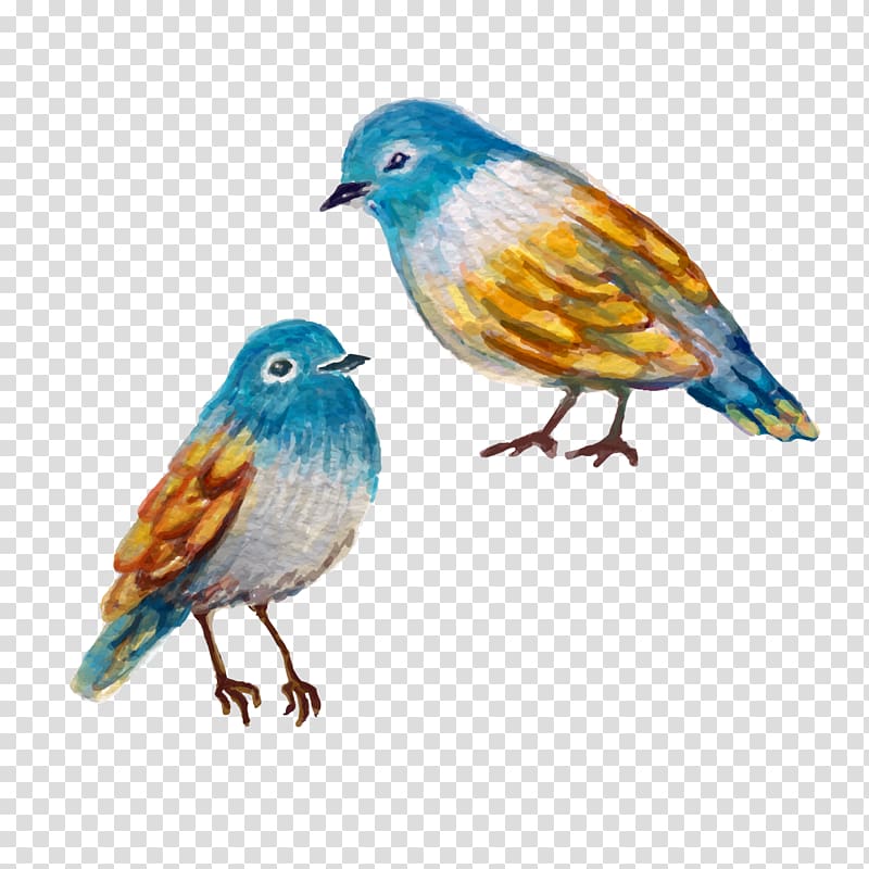 Bird Finch Watercolor painting, Painting Birds transparent background PNG clipart